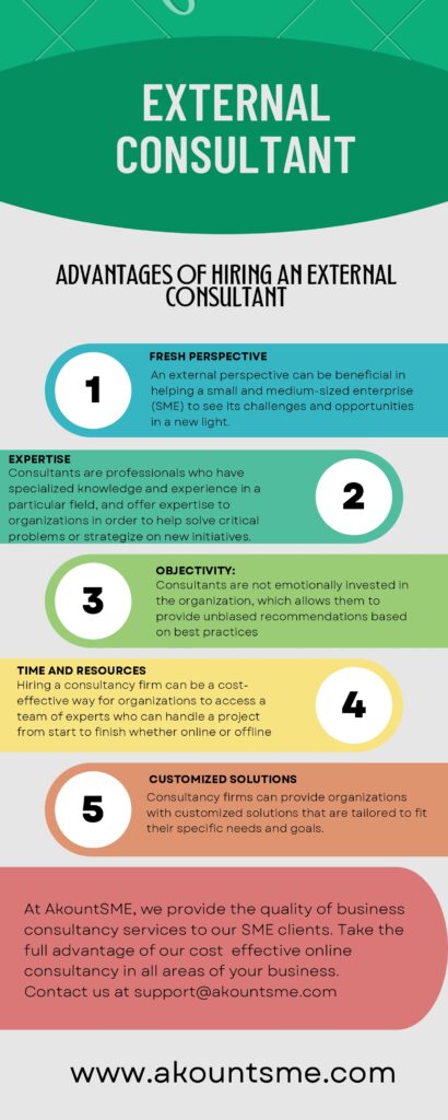 Infographic - External Consultants advantages